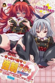 Zettai Junshu Kyousei Kozukuri Kyokashou!! Todos os Episodios Online