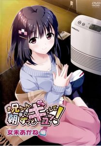 Onii-chan, Asa made Zutto Gyutte Shite! Todos os Episodios Online